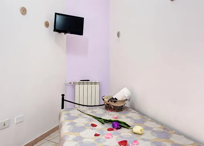 In The Center By Local Domus Guest house 3*